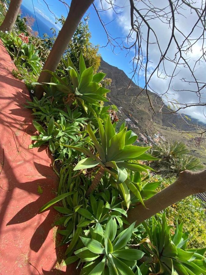 Los Corralitos Эрмигва Экстерьер фото